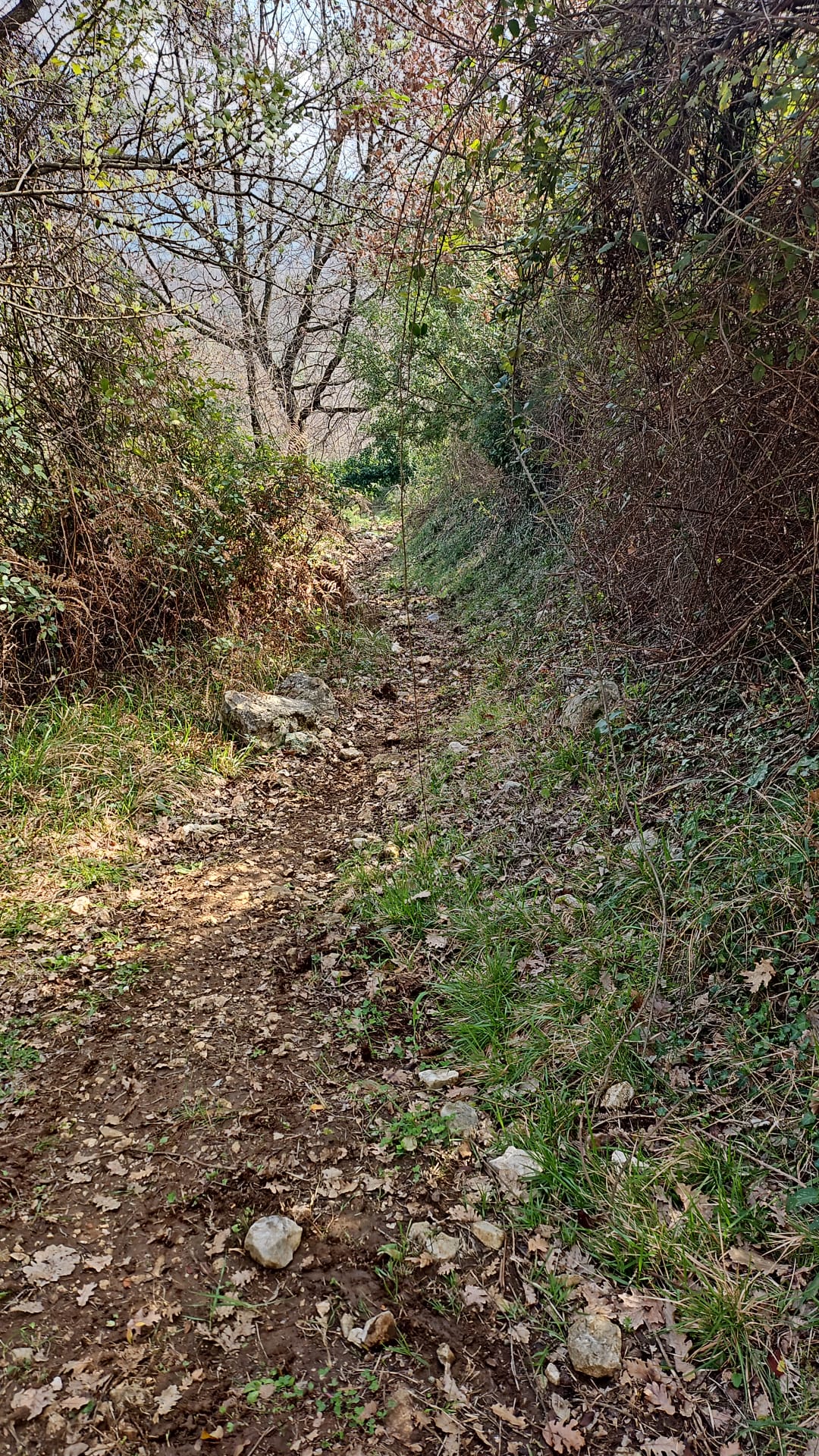 WhatsApp Image 2026-02-28 at 12.18.57