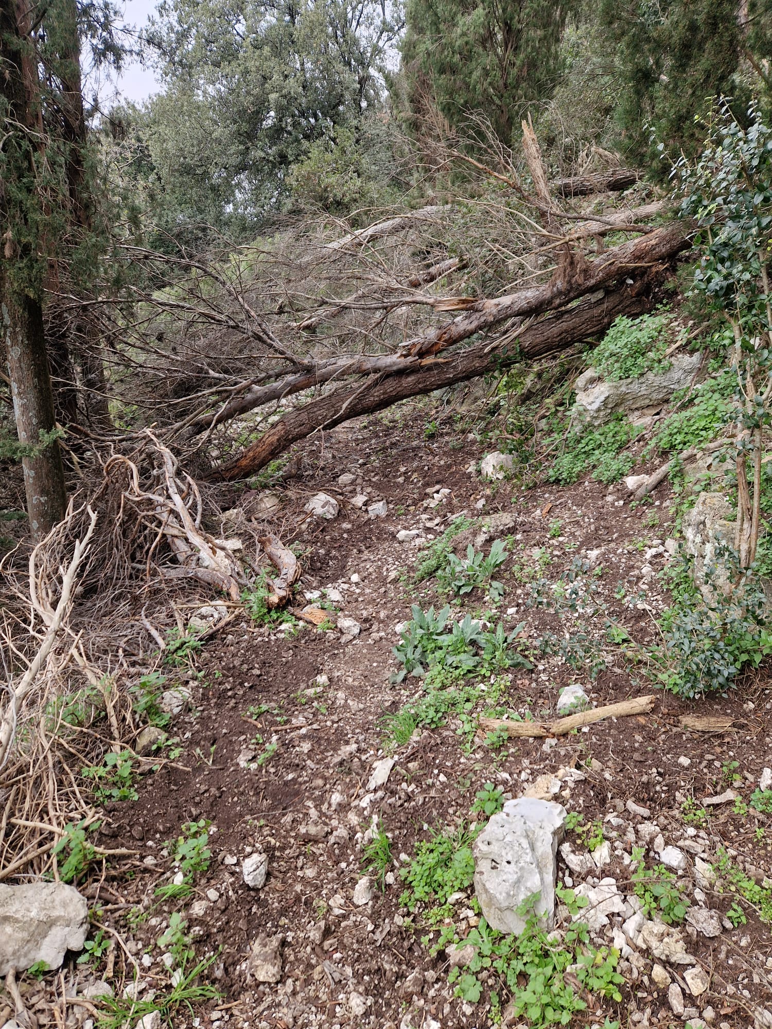 WhatsApp Image 2026-03-01 at 10.22.34