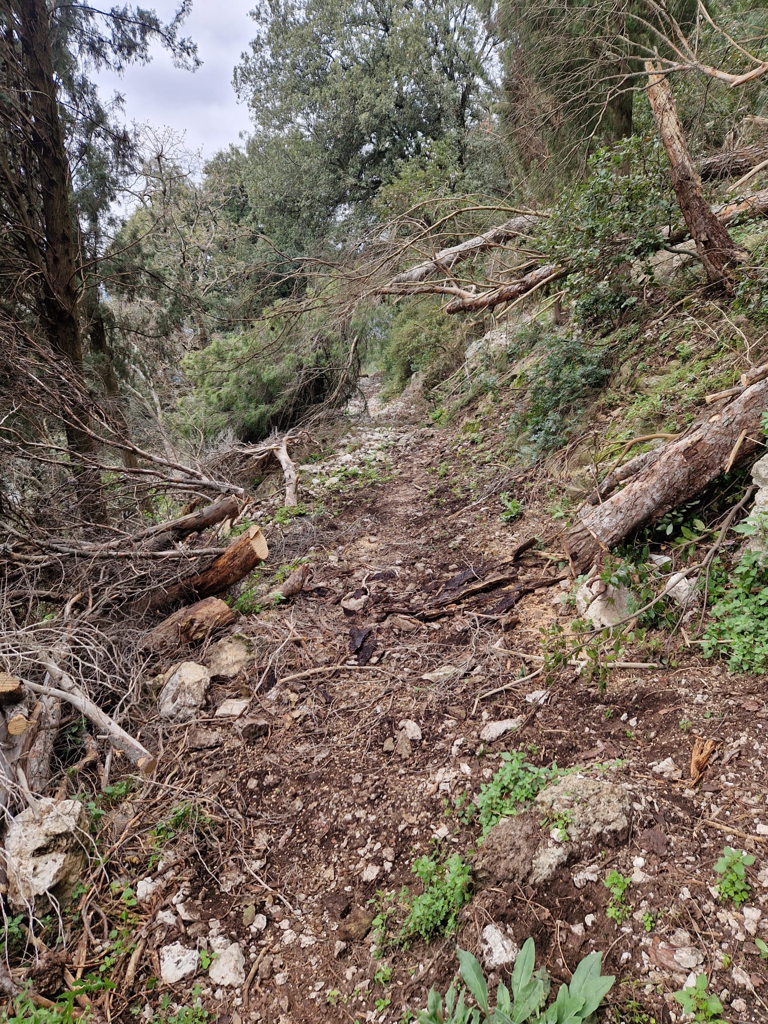 WhatsApp Image 2026-03-01 at 10.22.44