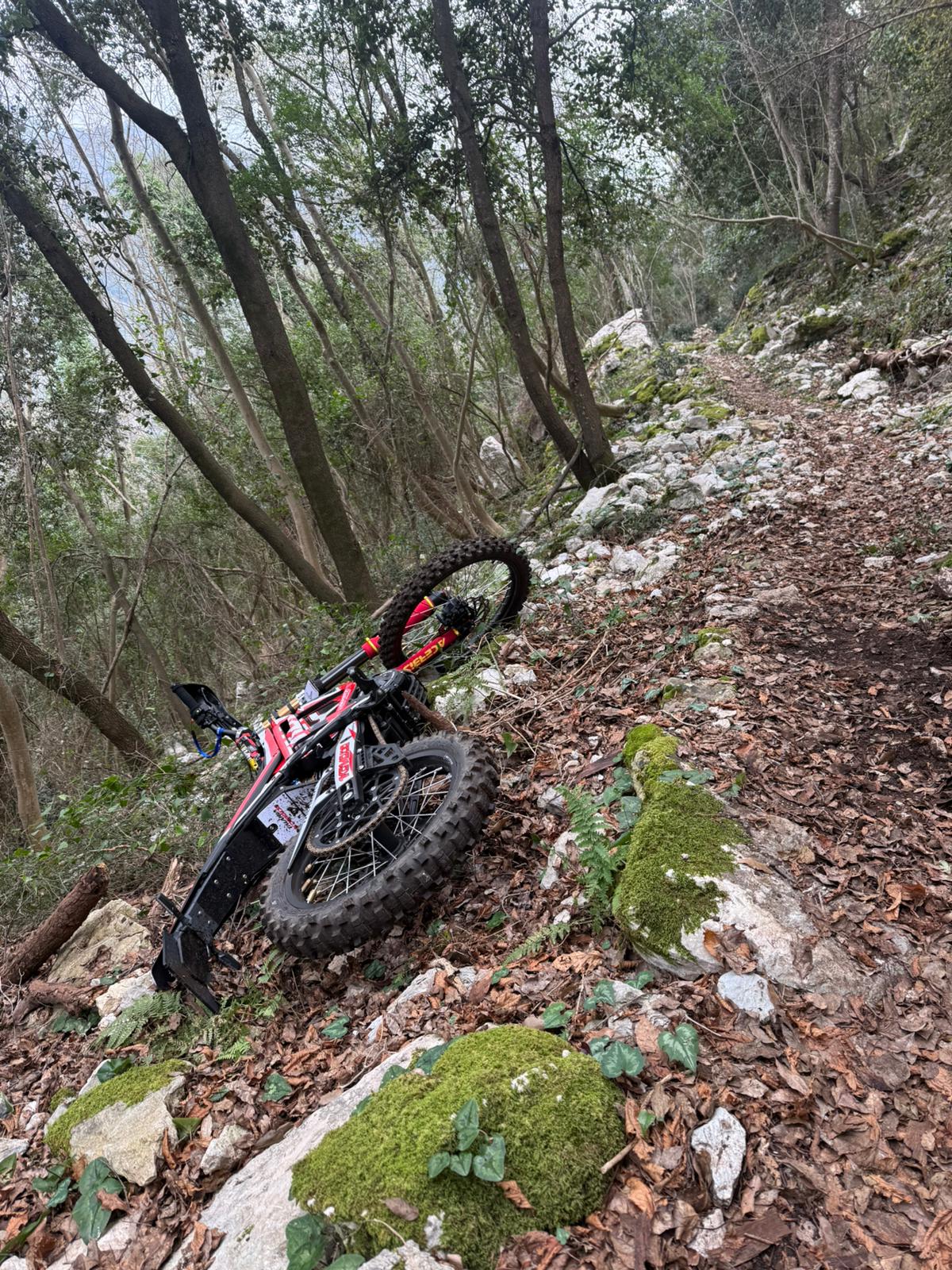 WhatsApp Image 2026-03-01 at 15.17.54 (1)